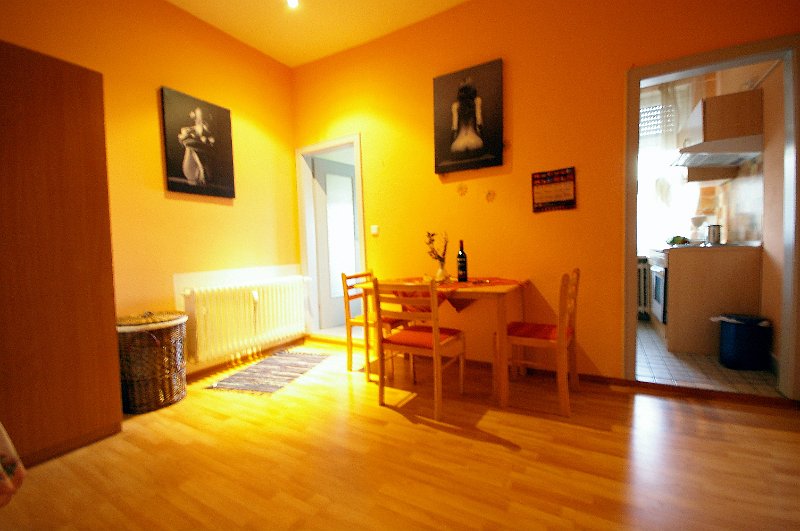 IMGP1254.JPG - Blick in einen Vorraum der mittleren Wohnungen.